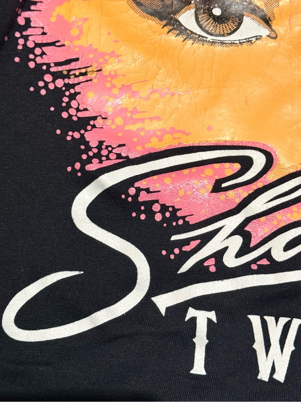 Vintage 90s Shania Twain Size L Single Stitch Jerzees Rare 50/50 Made In USA - Picture 6 of 11